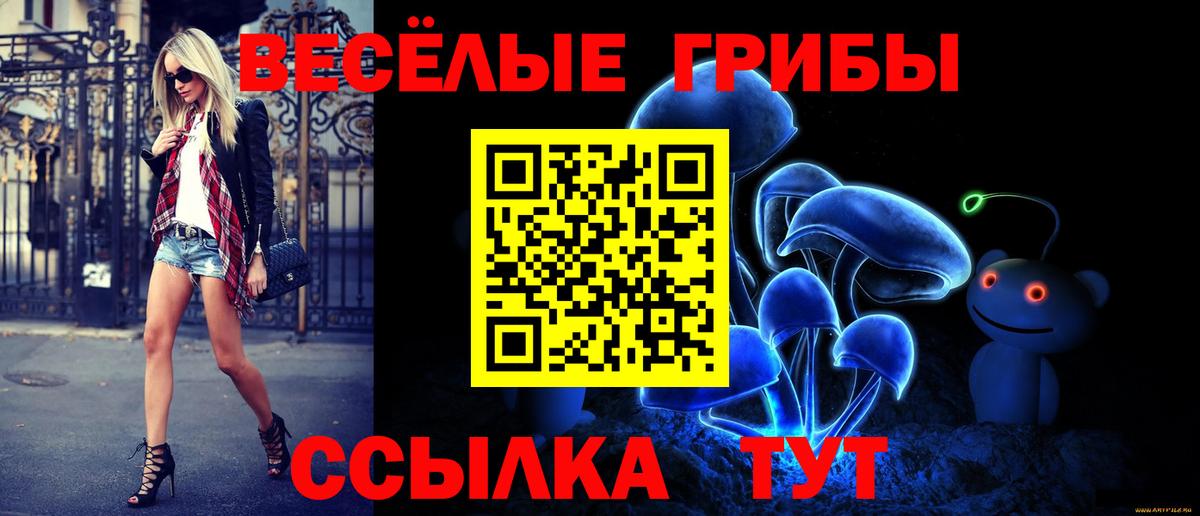 Долгопрудный  Псилоцибиновые грибы мицелий  Вход с VPN 